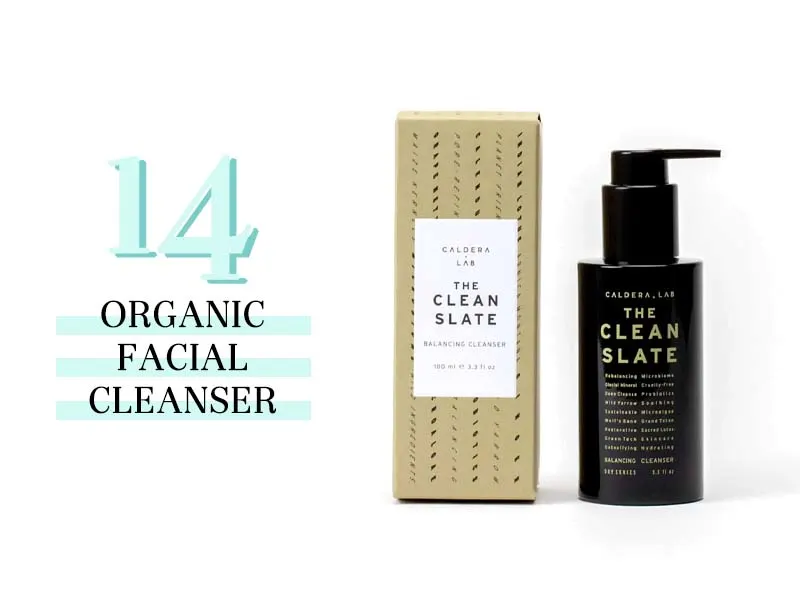 the clean slate organic facial cleanser