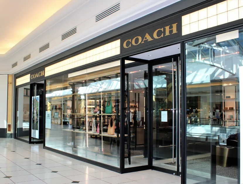 Best COACH bags